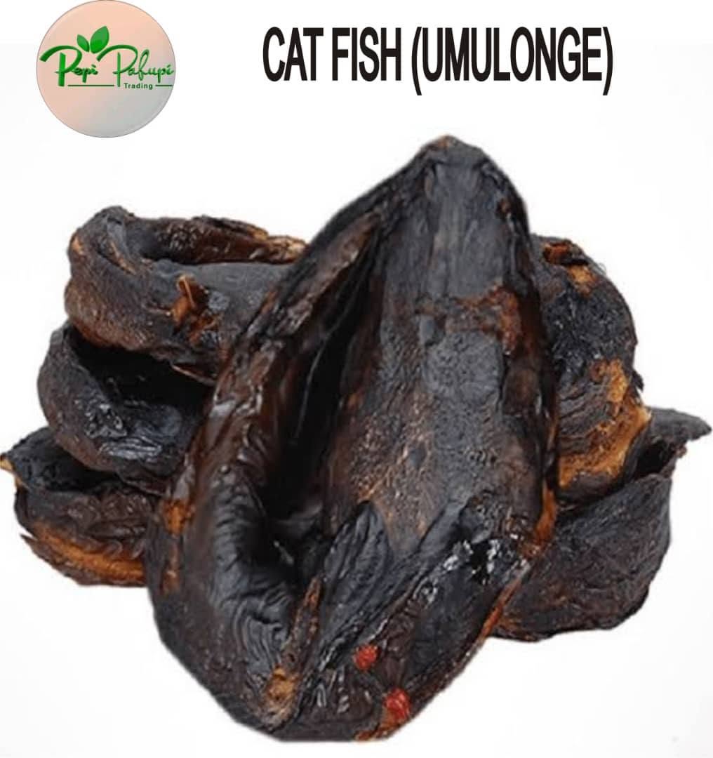 Sun-Dried African Cat Fish (Imilonge) - 10 Fish Pieces from Zambia