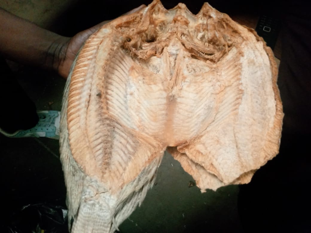 Dried Salted African Bream Fish (3 Fish Pieces)- Harvested from Luangwa River, Zambia