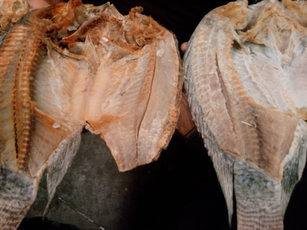 Dried salted African bream fish from the Luangwa River, Zambia, 3 pieces