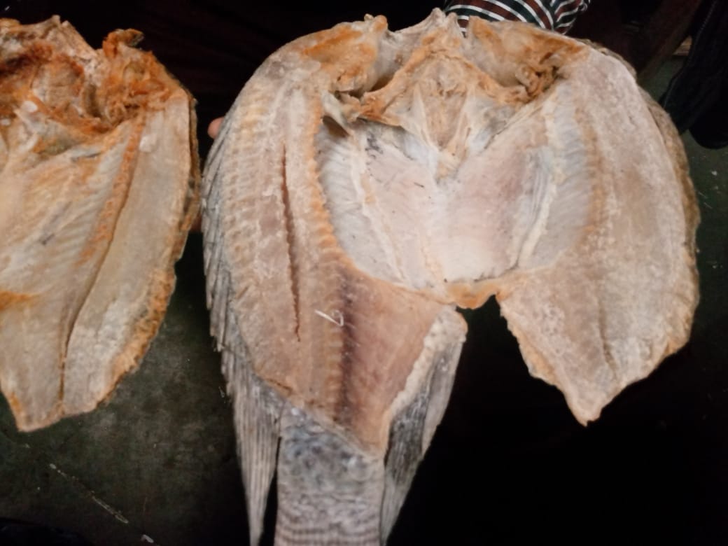 Dried salted African bream fish from the Luangwa River, Zambia, 3 pieces